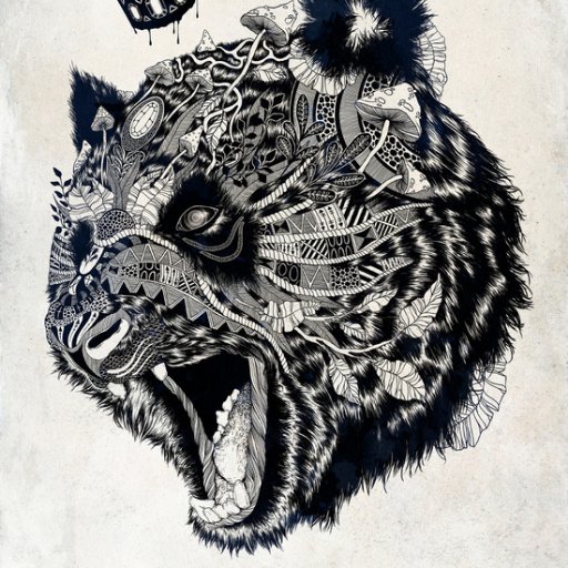 HashPanda1's profile picture. Besides Turtles I am also fond of #Voluntaryism, #Bitcoin, #HipHop, #Cannabis, #Skateboarding, #Firearms, #EsotericStudies & #RealityAnalysis.