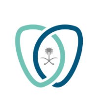 SDS-Asir (@asirsds) 's Twitter Profile