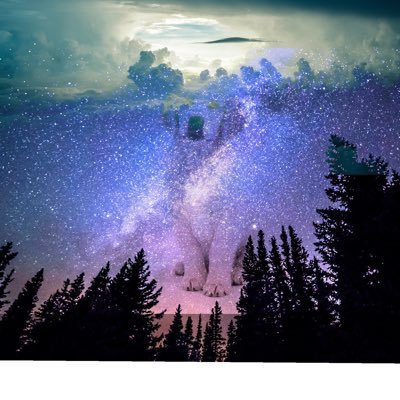 robotshark79's profile picture. Add me on Roblox name is Robotshark79 my name on Fortnite is Nidor79