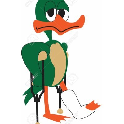 Canard Boiteux Ca Depend Du Pays Ou On Habite En France On Dit J Aurais Aime Avoir Un Masque A Taiwan J Aurai Un Masque