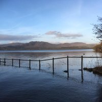 Madeleine O'Brien (@madeleineobri18) 's Twitter Profile