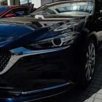 白アルバ (@shiroalba) Twitter profile photo