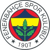 Sadece Fenerbahçe