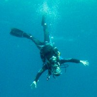 Andy Tracy (@andyt_hk) 's Twitter Profile