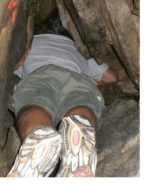 MartyORourke's profile picture. Insisto vestri pectus pectoris