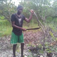 Lamingibba (@lamingibba15) 's Twitter Profile