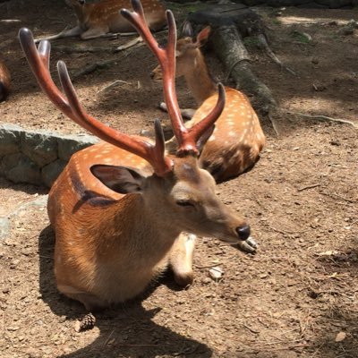 116Red's profile picture. KinKiの光ちゃん大好き❤️だけど剛と二人の時が一番好き❤️九州、福岡の下の県在住|▽//)ゝ