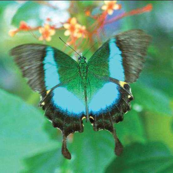 VVenkidesh's profile picture. Music, humane, engineer, designer, Beyond the limit in all things, Auspicious thinking virginity in nature,Valuable presence in objects and speaking.