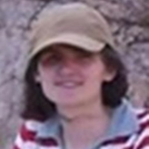 PhD in Neuroscience, Hebrew University Jerusalem. Interested in circuit neuroscience, sensory information processing, learning-related plasticity, and memory