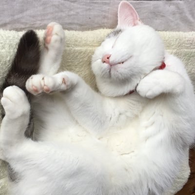 燦のプロフィール写真