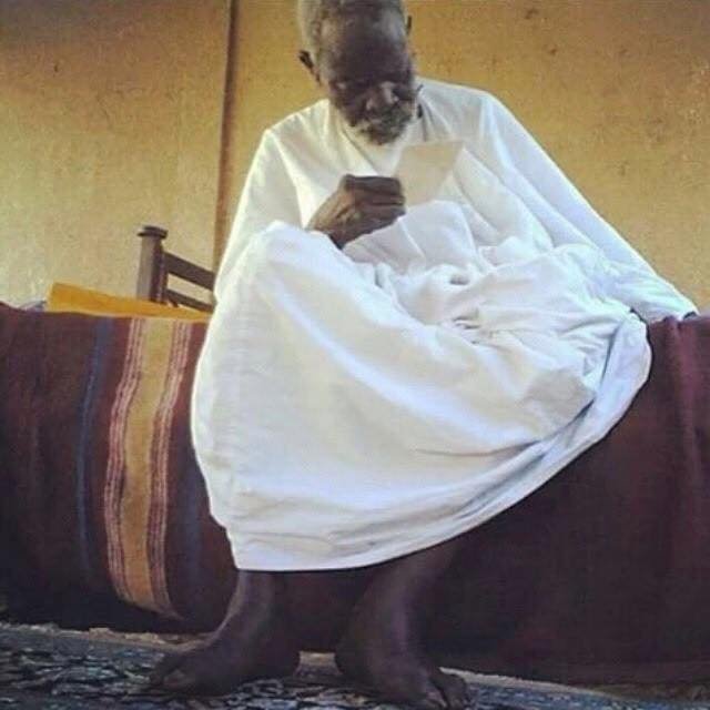 saliouD36201591's profile picture. 