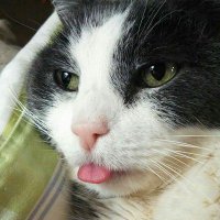 Dori Z. Sahagian (@dorisahagian) Twitter profile photo