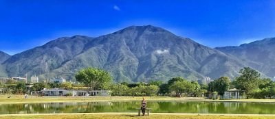 Memarting1's profile picture. 