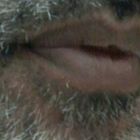 كبير من الاحساء (@cz4s6kxlxwi1q1r) Twitter profile photo