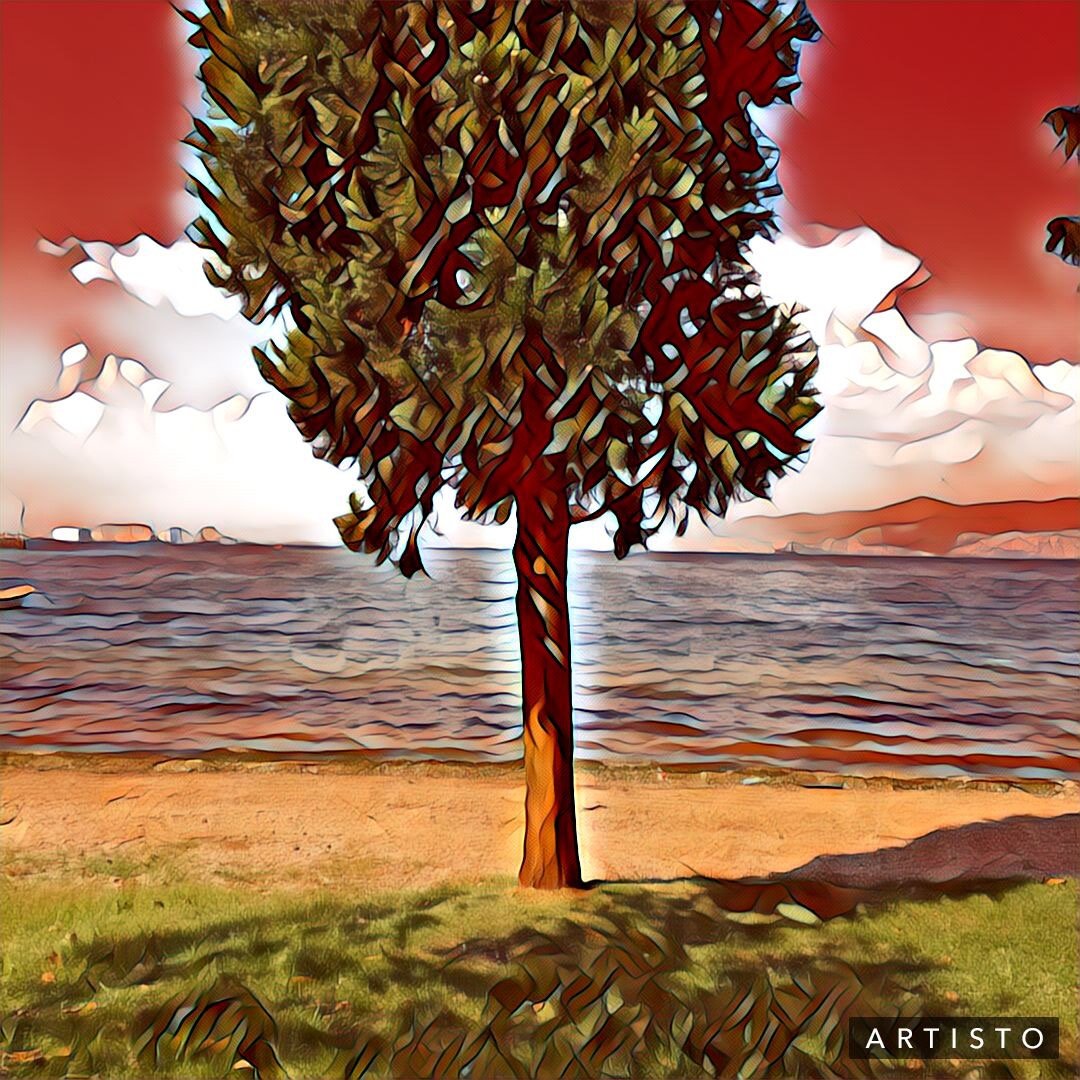 atanamamış tarihçi