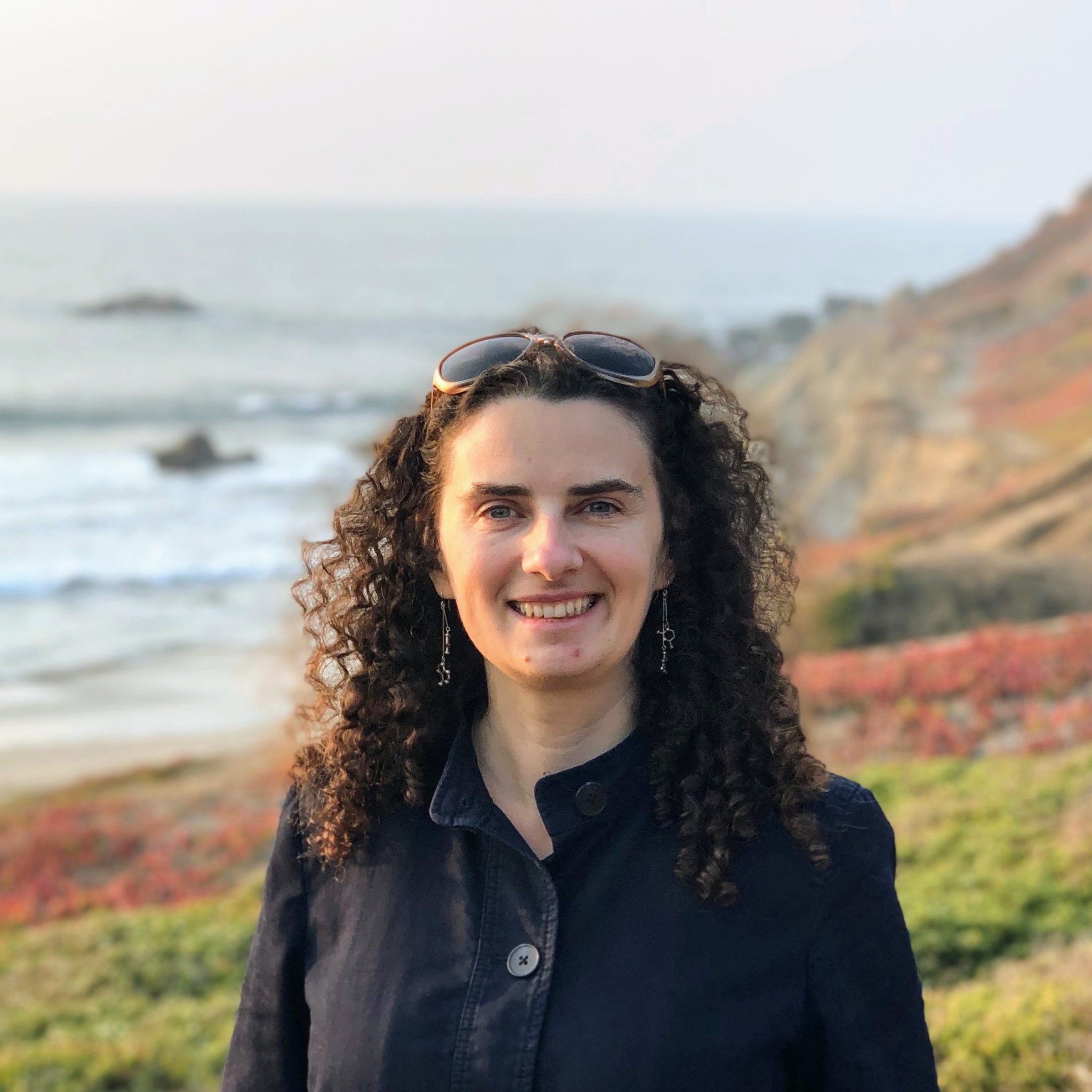 Associate Professor of Bioengineering at Stanford University