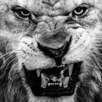 Harry Micheal (@sagar09997651) 's Twitter Profile