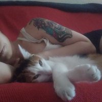 Noodle (@noodle_) 's Twitter Profile