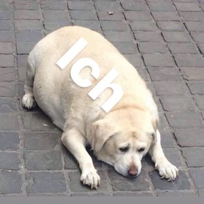 Ur dad lesbian