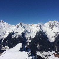 Trish Acton (@trishacton) 's Twitter Profile