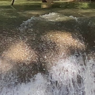 MorningsideWeb's profile picture. Enjoy wine, craft beer and travel.