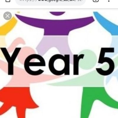 Year Five Phoenix Primary Profile