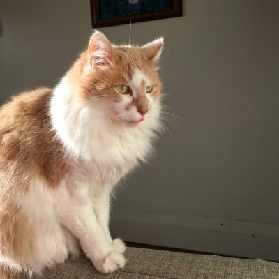 kaybramley's profile picture. cycling, cats, space junk and good wine