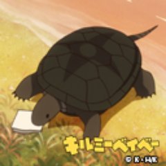 yuzuko0808's profile picture. ゲームや色々の記事をつぶやいてます。よろしく。