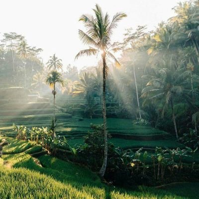 PyZKPFG2C9ATVm4's profile picture. 