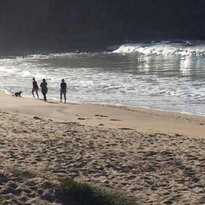 GalaReiver's profile picture. 🇬🇧🇦🇺🍻 ✊✊✊