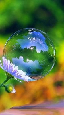 javeriabutt96's profile picture. A caterpillar trying to turn into a butterfly.🦋 A Pharmacist. A writer.✍️ 
Self-motivation is what drives me.