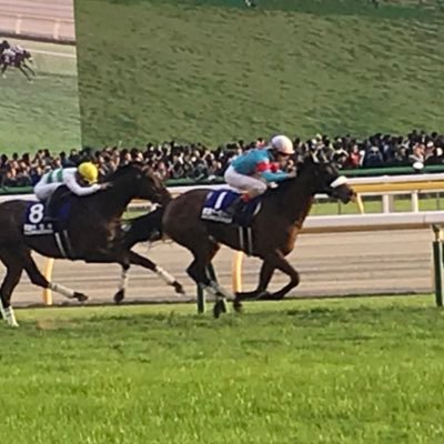 ダビマスやってます。 リアル競馬場も東京G1開催のときは参戦してます。ドラクエウォークもたまにつぶやきます。