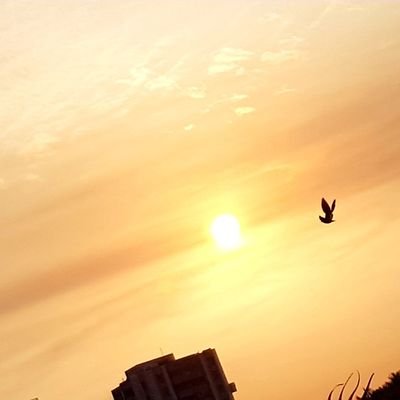 66H66's profile picture. ‏‏‏‏‏‏‏‏على سًبّيّل ٱلحًنٌيّنٌ  ٱشّتُٱقَ لقَطٌعة منٌ روِحًى فُى مكٱنٌ ٱخٌر