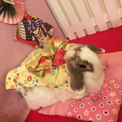 linda_127coco's profile picture. Janne Da Arc♡ Acid Black Cherry♡PENICILLIN♡ライチ♡スカパラ♡L'Arc♡マドモ♡QUARTER DOLL会員♡ 林檎嬢 昨年ライブ参戦15本♡