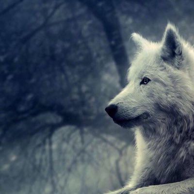 moothailand2526's profile picture. เรื่องตลก ภาพยนตร์ ข่าวทั่วไป ทีวี บล็อก หนังสือและวรรณคดี วิทยุ ข่าวธุรกิจ ภาพยนตร์ สุขภาพ อาหาร