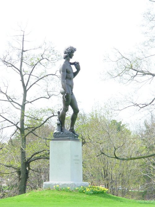 buffaloplumber's profile picture. 