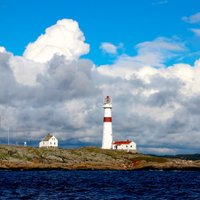 ICFT 2019 (@2019icft) 's Twitter Profile