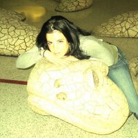 Donna Catamero (@domenica76) 's Twitter Profile