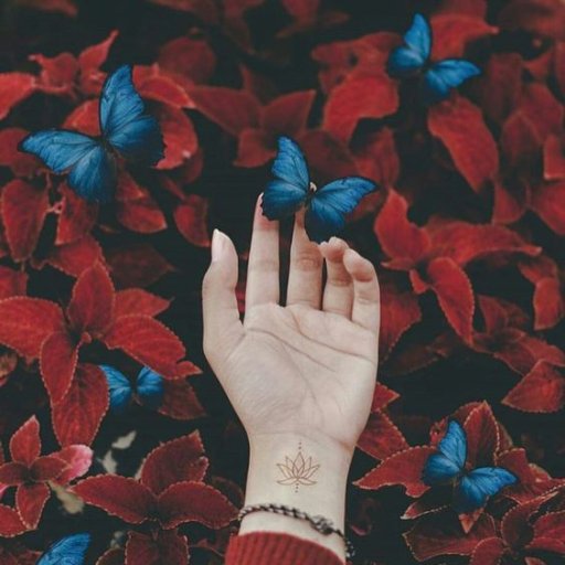 roro_ksa2013's profile picture. 