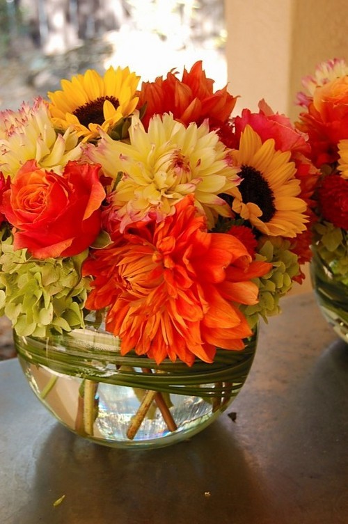 madonnacramer's profile picture. 