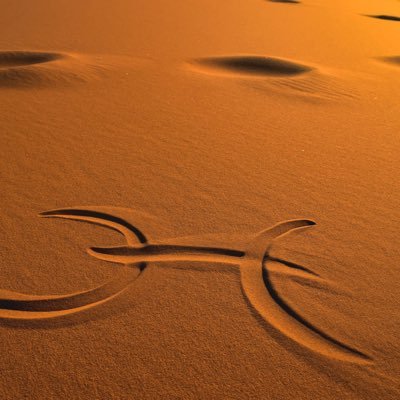 welltechinnov's profile picture. Advanced technology for an advanced humanity.