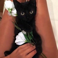 ِ (@llloiii3) Twitter profile photo