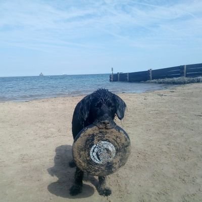 jX2pv2AulZp1N8o's profile picture. 