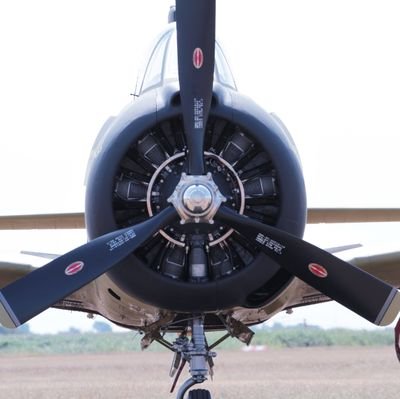 Haagse's profile picture. De enige Haagse Harry in Leeuwarden