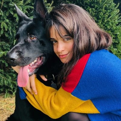 camz47886513's profile picture. Engraçado como isso não tem graça