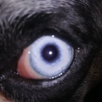 JU (@jur_um) 's Twitter Profile Photo JU (@jur_um) 's Twitter Profile Photo