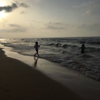 emincaskan (@emincaskan) 's Twitter Profile