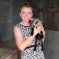 Kati Reid (@_katireid) 's Twitter Profile