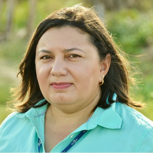 MagnaSBMoura's profile picture. 