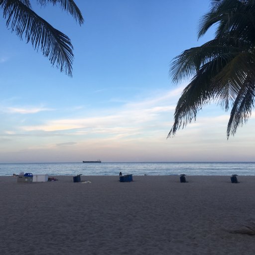 LosAngeles954's profile picture. Fighting the good fight. An educator for over 15 years . Alumna of American University D.C. Admire good people.